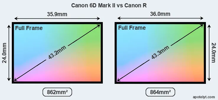 Canon 6D Mark II and Canon R sensor measures