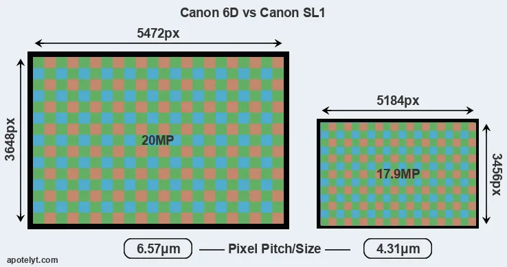 6D versus SL1 MP