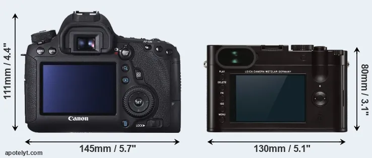 Comparison 6D or Q Typ 116 rear