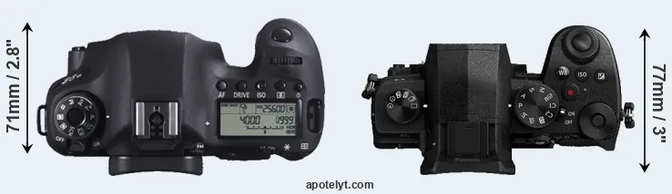Compare 6D versus G95 top