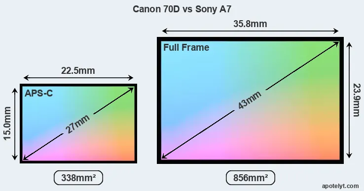 Canon 70D and Sony A7 sensor measures