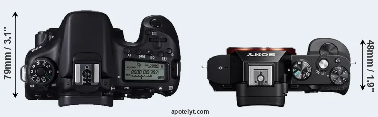 Compare 70D versus A7 top