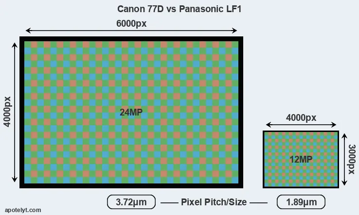 77D versus LF1 MP