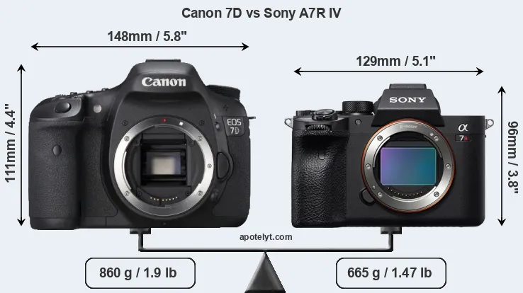 Size Canon 7D vs Sony A7R IV