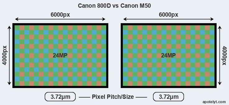 800D versus M50 MP