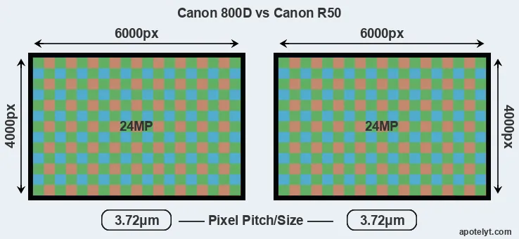 800D versus R50 MP