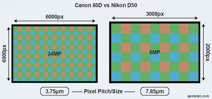 80D versus D50 MP