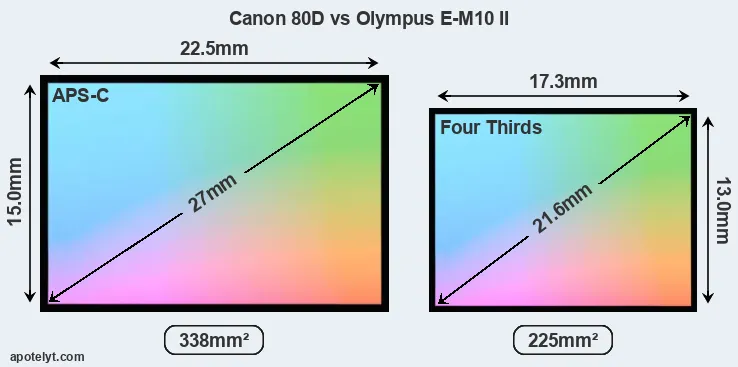 Canon 80D and Olympus E-M10 II sensor measures