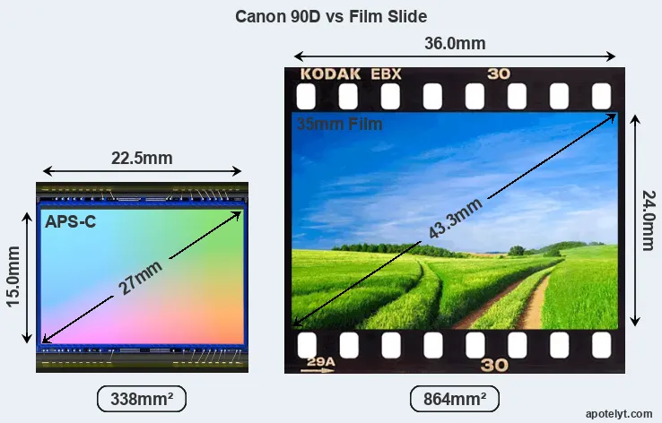 Canon 90D sensor measures