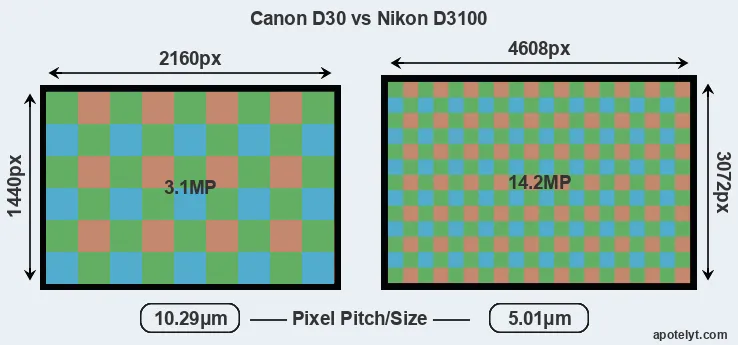 D30 versus D3100 MP