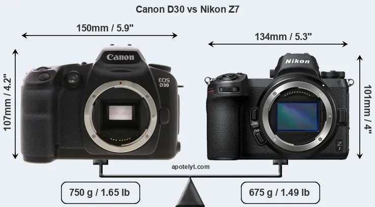 Size Canon D30 vs Nikon Z7