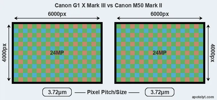 G1X Mark III versus M50 Mark II MP