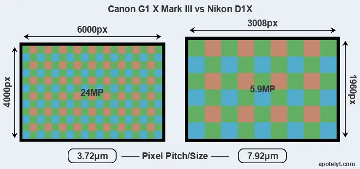 G1X Mark III versus D1X MP