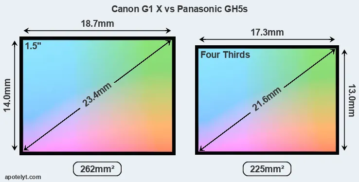 Canon G1 X and Panasonic GH5s sensor measures