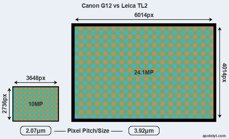 G12 versus TL2 MP