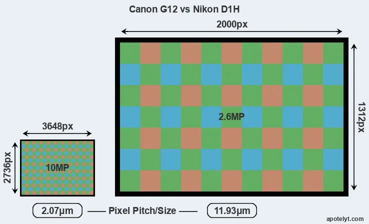 G12 versus D1H MP
