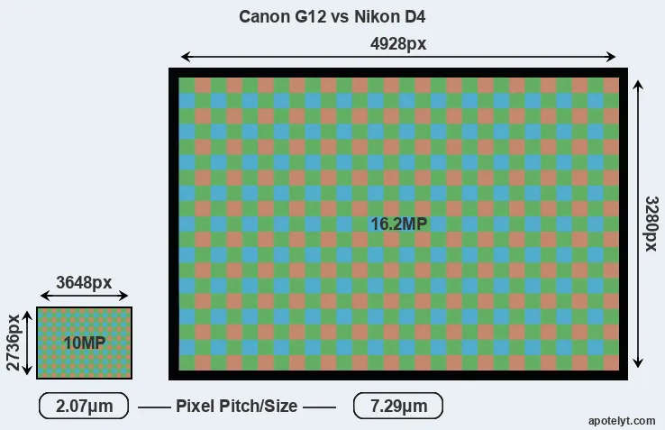 G12 versus D4 MP
