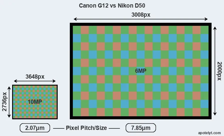 G12 versus D50 MP