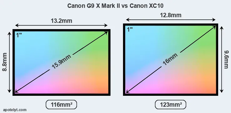 Canon G9 X Mark II and Canon XC10 sensor measures
