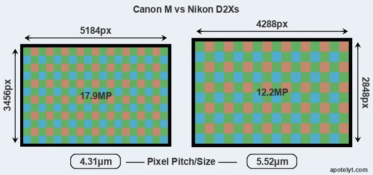Canon M versus D2Xs MP