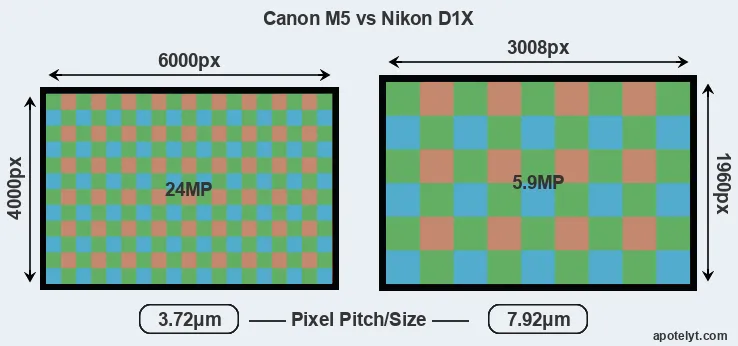 M5 versus D1X MP