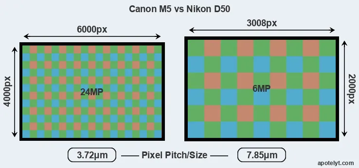 M5 versus D50 MP