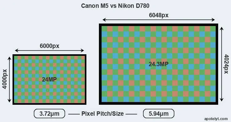 M5 versus D780 MP