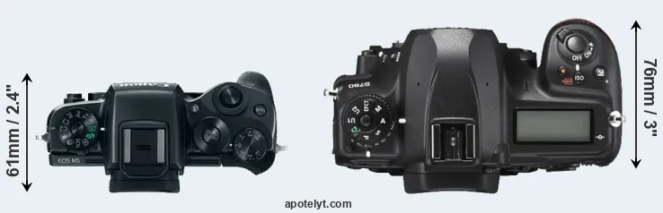 Compare M5 versus D780 top
