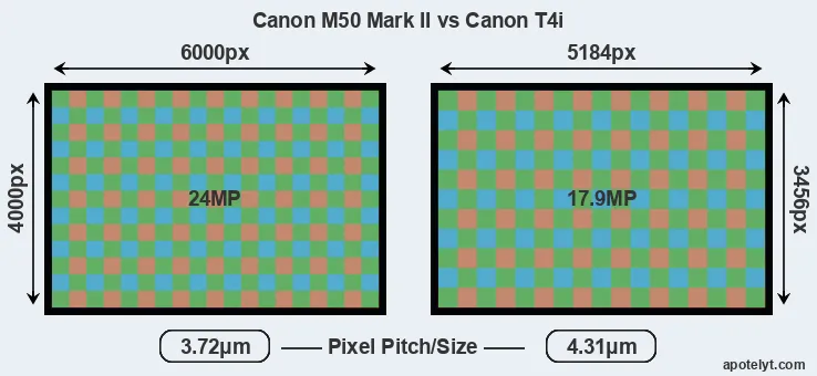 M50 Mark II versus T4i MP