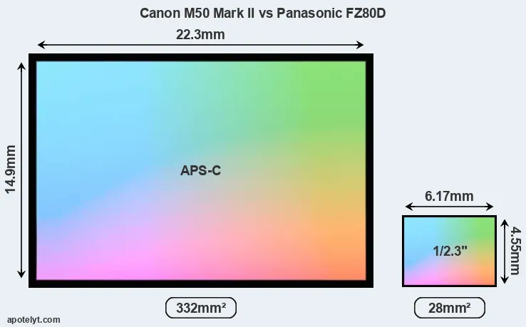 Canon M50 Mark II and Panasonic FZ80D sensor measures