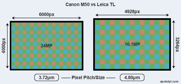M50 versus TL MP
