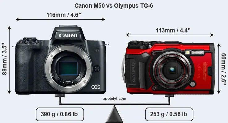 Size Canon M50 vs Olympus TG-6