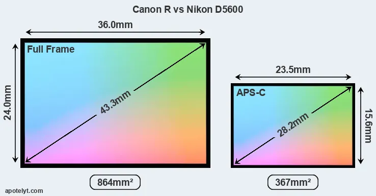 Canon R and Nikon D5600 sensor measures