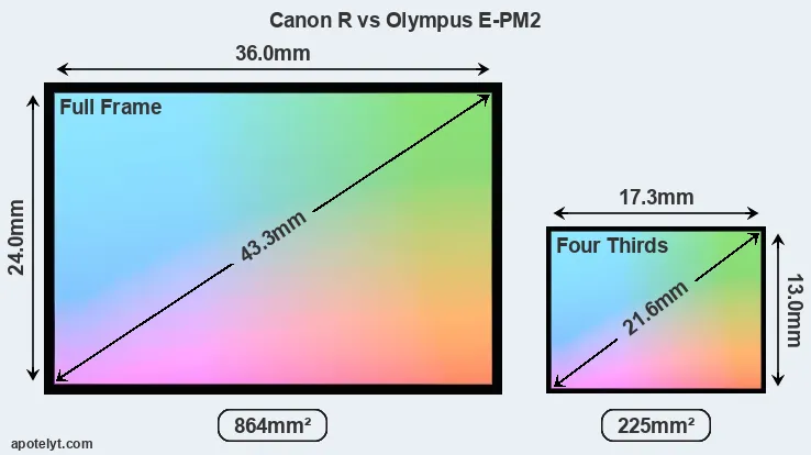 Canon R and Olympus E-PM2 sensor measures