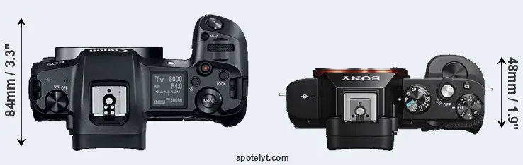 Compare Canon R versus A7S top
