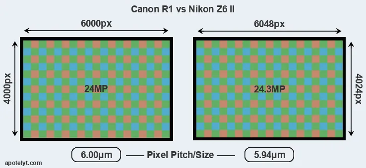 R1 versus Z6 II MP