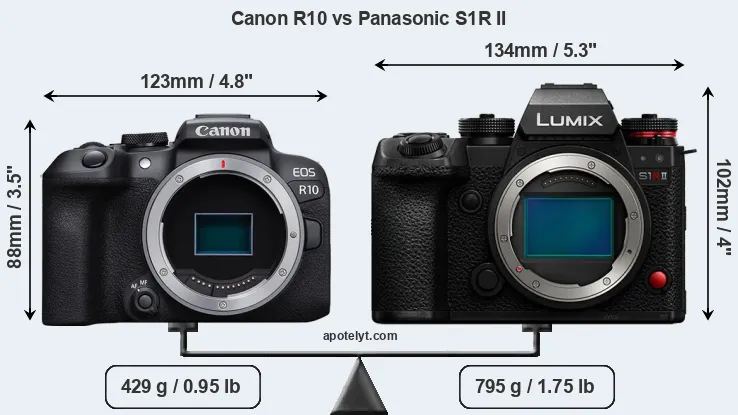 Size Canon R10 vs Panasonic S1R II