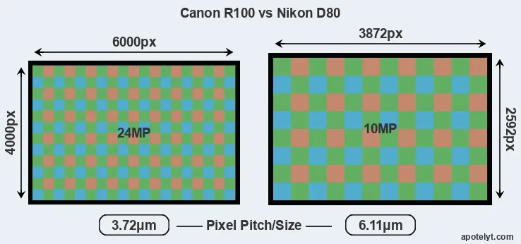 R100 versus D80 MP