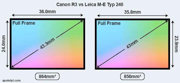 Canon R3 and Leica M-E Typ 240 sensor measures