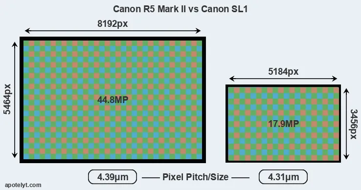 R5 Mark II versus SL1 MP