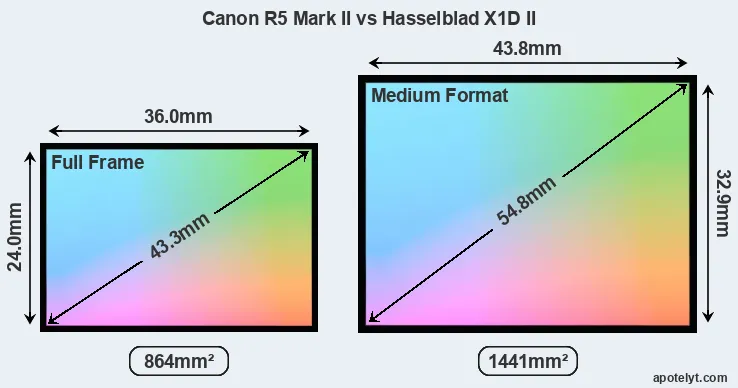 Canon R5 Mark II and Hasselblad X1D II sensor measures