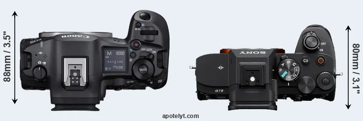 Compare R5 Mark II versus A7 IV top