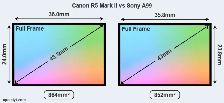 Canon R5 Mark II and Sony A99 sensor measures