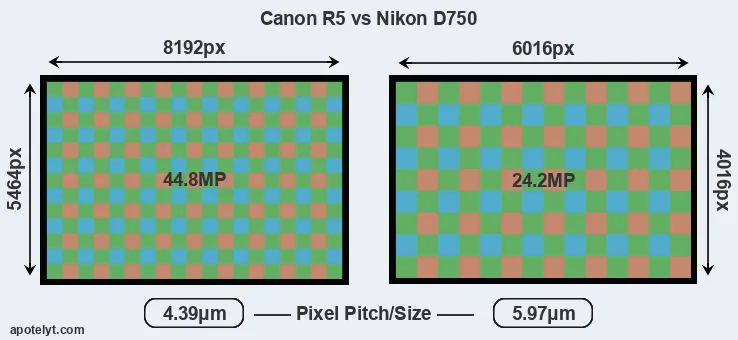 R5 versus D750 MP