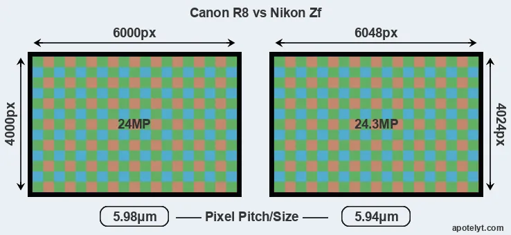 R8 versus Zf MP