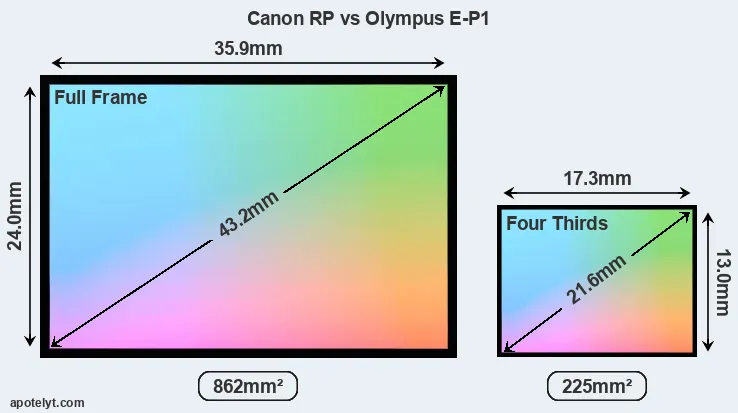 Canon RP and Olympus E-P1 sensor measures
