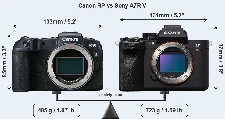 Size Canon RP vs Sony A7R V