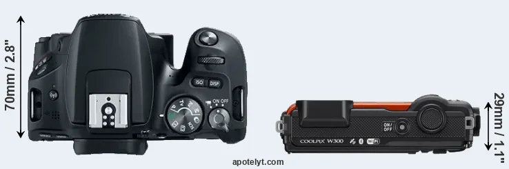 Compare SL2 versus W300 top