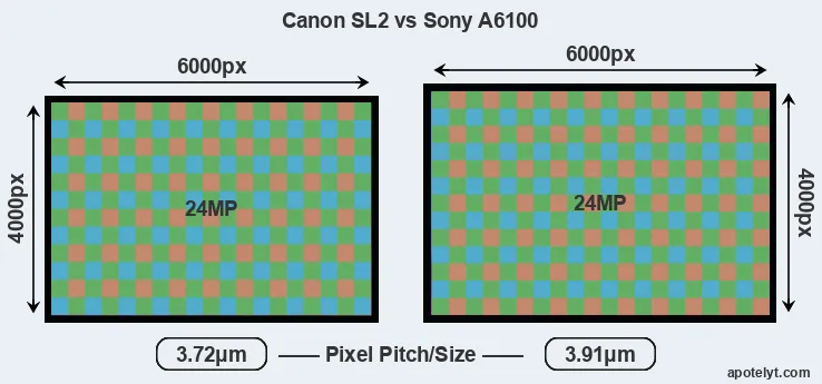 SL2 versus A6100 MP