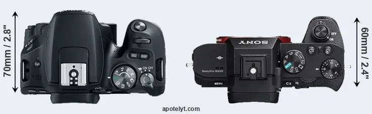 Compare SL2 versus A7 II top